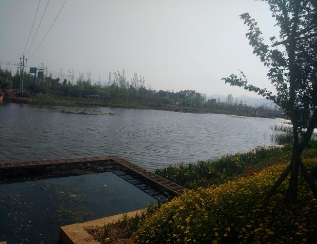 澄江縣山沖河灌區農業高效節水減排項目
